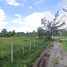  Land for sale in Bang Tao Beach, Choeng Thale, Choeng Thale