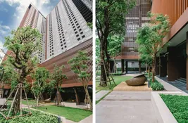 Buy 1 bedroom Condo at Plum Condo Ramkhamhaeng in Bangkok, Thailand