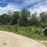  Land for sale in Phran Kratai, Kamphaeng Phet, Tha Mai, Phran Kratai