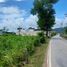  Land for sale in Choeng Thale, Thalang, Choeng Thale