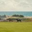  Land for sale in Assilah, Tanger Tetouan, Assilah