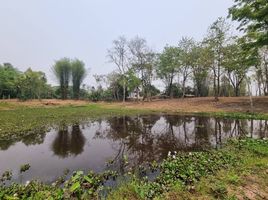  Grundstück zu verkaufen in Mae Taeng, Chiang Mai, Mae Taeng