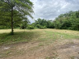  Land for sale in Na An, Mueang Loei, Na An