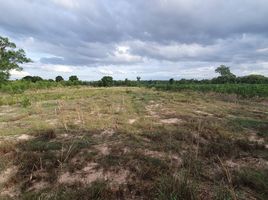  Grundstück zu verkaufen in Khanu Woralaksaburi, Kamphaeng Phet, Wang Chaphlu, Khanu Woralaksaburi