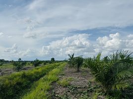 ขายที่ดิน ใน ศรีเทพ เพชรบูรณ์, สระกรวด, ศรีเทพ