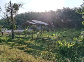 2 Schlafzimmer Haus zu verkaufen in Cha-Uat, Nakhon Si Thammarat, Khuan Nong Hong, Cha-Uat