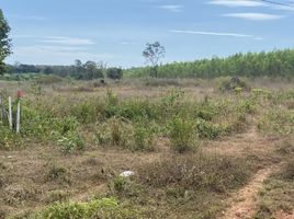  Land for sale in Nong Khai, Rattanawapi, Rattanawapi, Nong Khai