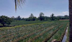 N/A Land for sale in Thung Pi, Chiang Mai 