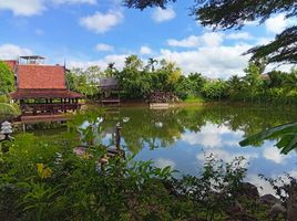 2 спален Вилла в аренду в Phuket-Thaihouse, Thep Krasattri