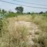  Land for sale in Nakhon Ratchasima, Na Klang, Sung Noen, Nakhon Ratchasima