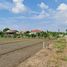  Land for sale in Sai Noi, Nonthaburi, Khlong Khwang, Sai Noi