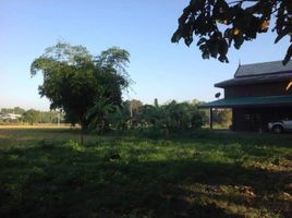  Land for sale in Huai Sai, San Kamphaeng, Huai Sai