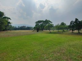  Grundstück zu verkaufen in Mae Rim, Chiang Mai, Rim Tai
