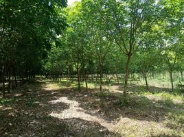  Land for sale in Prachin Buri, Nong Phrong, Si Maha Phot, Prachin Buri