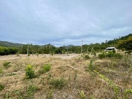  Land for sale in Surat Thani, Maenam, Koh Samui, Surat Thani