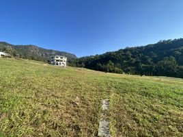  Grundstück zu verkaufen in Khao Kho, Phetchabun, Khaem Son