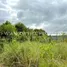ขายที่ดิน ใน วังทอง, พิษณุโลก, วังทอง, วังทอง, พิษณุโลก