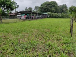  Land for sale in Pococi, Limon, Pococi