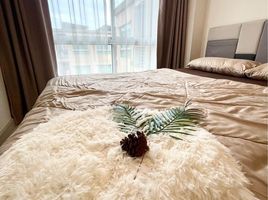 1 Schlafzimmer Wohnung zu vermieten im Niche ID Sukhumvit 113, Samrong Nuea