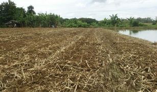 N/A Land for sale in Si Kham, Chiang Rai Greenview At Maechan