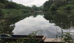 N/A Land for sale in Mueang Chang, Nan 