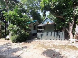 Grundstück zu verkaufen in Tha Yang, Phetchaburi, Klat Luang, Tha Yang