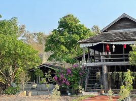 6 Schlafzimmer Shophaus zu vermieten in Mueang Chiang Rai, Chiang Rai, Huai Sak, Mueang Chiang Rai