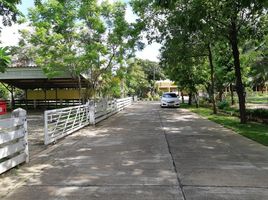 3 Schlafzimmer Haus zu vermieten in Han Teung Chiang Mai ( @Chiang Mai ), Suthep, Suthep