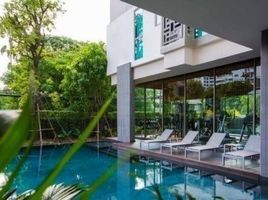 1 Bedroom Condo for rent at Siamese Thirty Nine, Khlong Tan Nuea