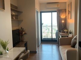1 Bedroom Condo for rent at Chapter One Midtown Ladprao 24, Chomphon