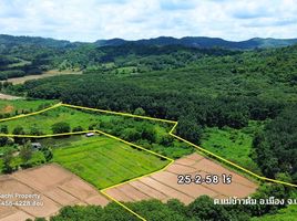  Land for sale in Mae Khao Tom, Mueang Chiang Rai, Mae Khao Tom