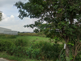  Grundstück zu verkaufen in Bang Pa-In, Phra Nakhon Si Ayutthaya, Sam Ruean, Bang Pa-In