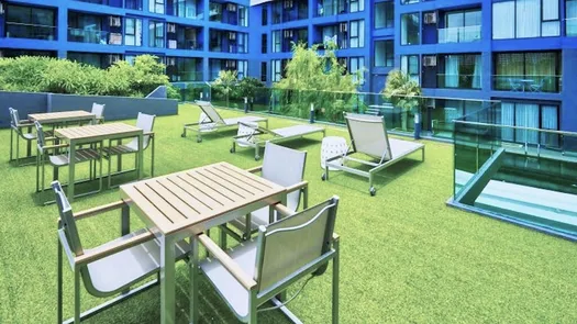 Photos 1 of the Communal Garden Area at Acqua Condo