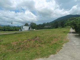  Land for sale in Bang Po Beach, Maenam, Maenam