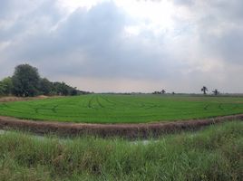  Land for sale in Nakhon Pathom, Nara Phirom, Bang Len, Nakhon Pathom