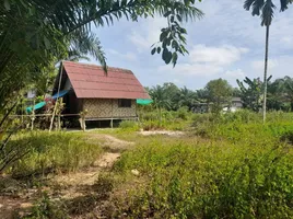  Grundstück zu verkaufen in Mueang Krabi, Krabi, Sai Thai