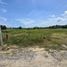  Land for sale in Sakhu, Phuket, Sakhu, Thalang
