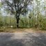 ขายที่ดิน ใน สาริกา, นครนายก, สาริกา, เมืองนครนายก, นครนายก