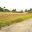  Grundstück zu verkaufen in Thanyaburi, Pathum Thani, Bueng Sanan, Thanyaburi