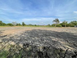  Land for sale in Bueng Ba, Nong Suea, Bueng Ba