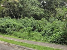  Land for sale in La Union, Cartago, La Union