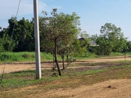  Land for sale in Kamphaeng Phet, Salok Bat, Khanu Woralaksaburi, Kamphaeng Phet