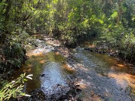  Grundstück zu verkaufen in Pauini, Amazonas, Pauini