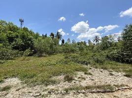  Grundstück zu verkaufen in Mueang Narathiwat, Narathiwat, Khok Khian, Mueang Narathiwat