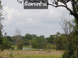  Grundstück zu verkaufen in Takua Pa, Phangnga, Bang Muang, Takua Pa