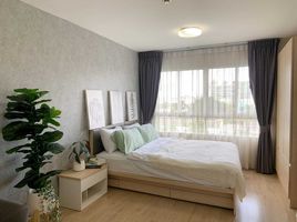 1 Bedroom Apartment for rent at Elio Del Ray, Bang Chak, Phra Khanong, Bangkok, Thailand