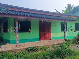  Grundstück zu verkaufen in Kanchanadit, Surat Thani, Kadae