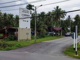 在Bang Muang, Takua Pa出售的 土地, Bang Muang