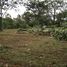  Land for sale in Thailand, Si Sunthon, Thalang, Phuket, Thailand