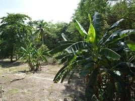  Grundstück zu verkaufen in Anton, Cocle, Rio Hato